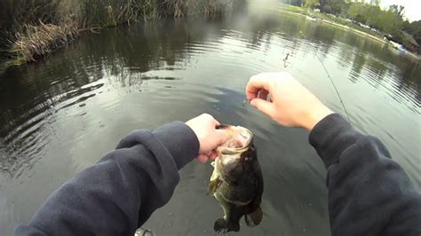 Fast Bass Fishing at Laguna Niguel Lake - YouTube