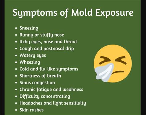 The risk of asthma increases in apartments with mold | Dosula