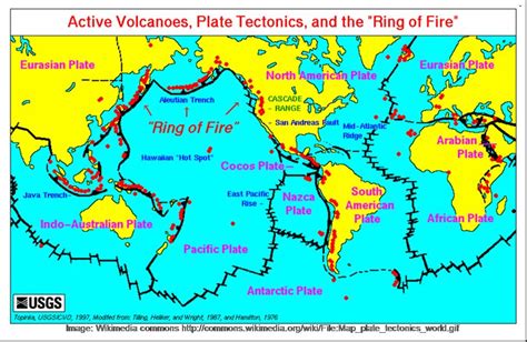 This is the Pacific Ring Of Fire. It shows us where major volcanoes are. -- Scotty Myers | Plate ...