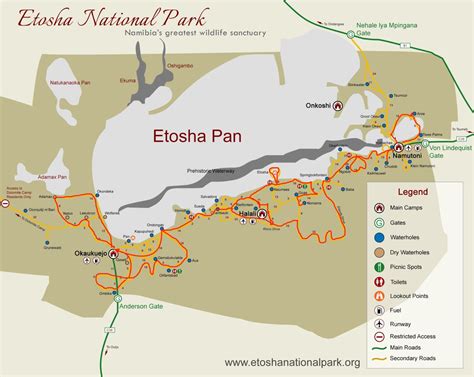 Namibia: Deine perfekte Route im Etosha Nationalpark!