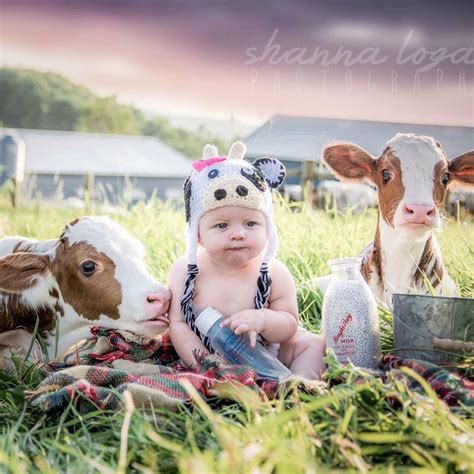 Pin by Cheryl Aaron on Awww, Just Cute! | Baby cows, Cow photos, Baby stuff country