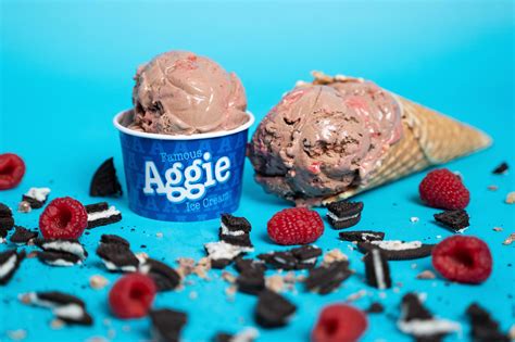 Aggie Ice Cream | USU