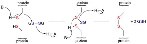 Any advice in forming disulfide bond between two proteins? | ResearchGate