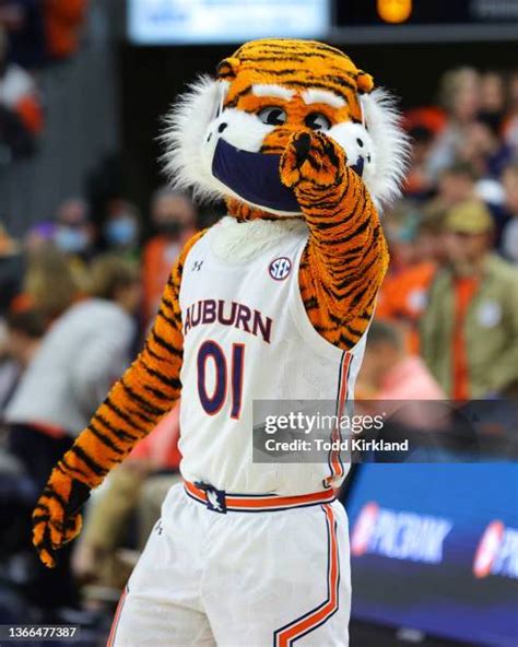 Aubie Mascot Photos and Premium High Res Pictures - Getty Images