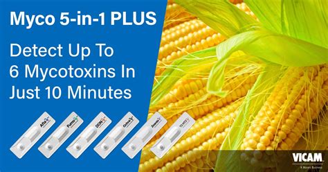 Simultaneously Detect Up To 6 Mycotoxins In 10 Minutes with Myco 5-in-1 PLUS