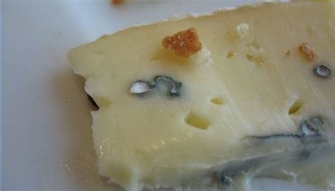 Cheese Mold Experiments | Sciencing