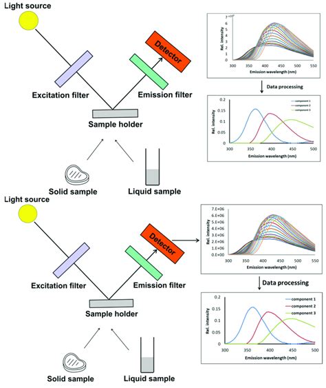 Schematic presentation of the setup in the front-face fluorescence ...