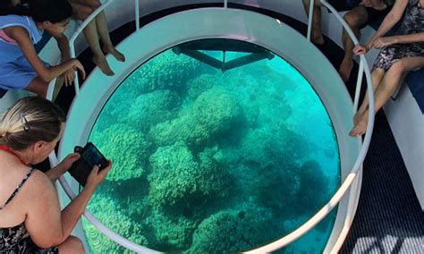 Snorkeling Experience at Damaniyat island on a Glass bottom boat