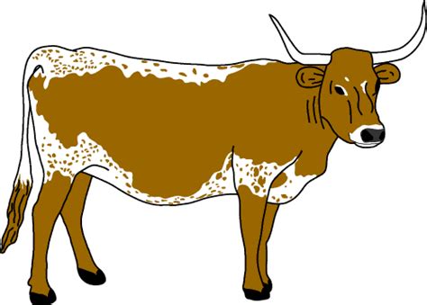 longhorn bull clipart - Clip Art Library