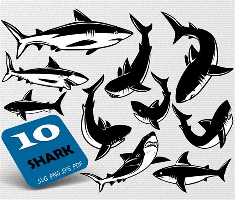 Shark Svg, Shark Silhouette, Sharks Bundle, Shark Print File, Fish Svg, Fish Clipart, Hammerhead ...