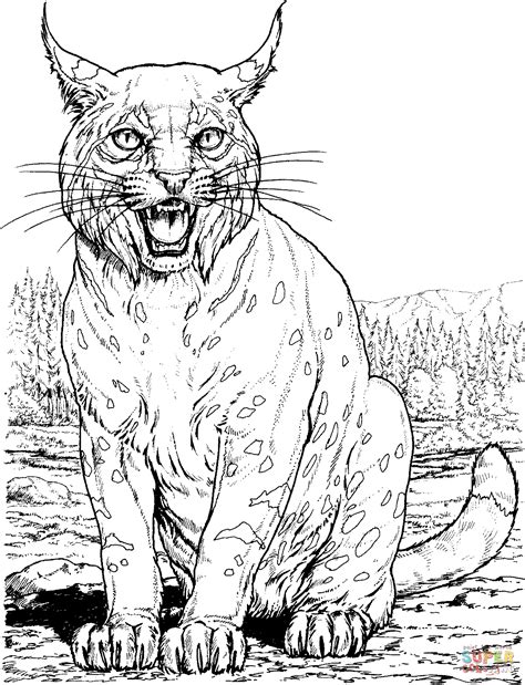 Lynx Cat coloring page | Free Printable Coloring Pages