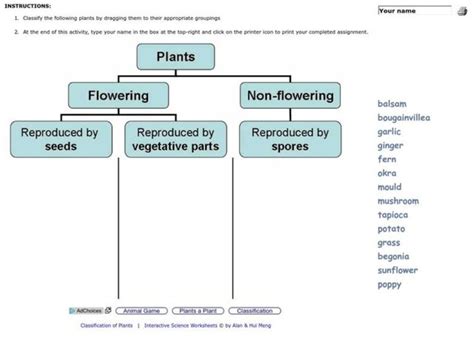 Plant Classification Lesson Plans & Worksheets | Lesson Planet