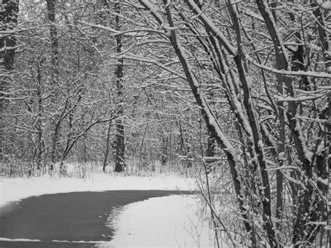 Pin by Trish Pitts on My Photography | North dakota, Winter landscape ...