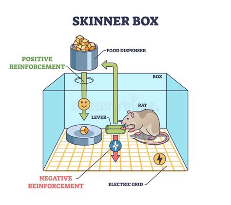 Skinner Box and Operant Conditioning Chamber Experiment Outline Diagram ...