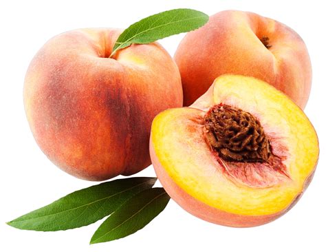 Peach Free PNG Image - PNG All | PNG All