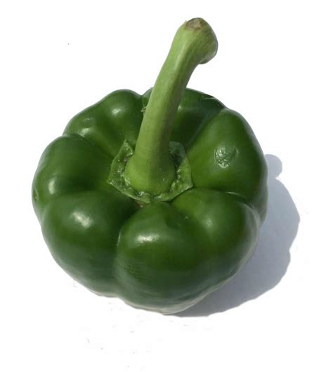 Green Pepper website