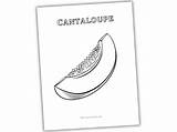cantaloupe coloring page  The Purposeful Nest sketch template