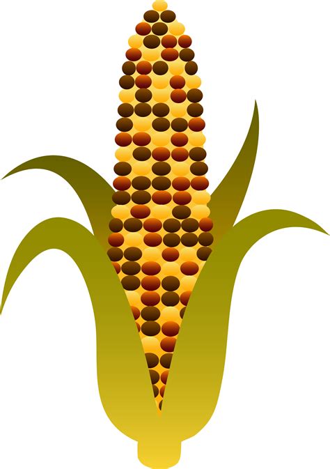 clipart corn on the cob - Clip Art Library