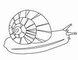 Colorear Ausmalbilder Caracol Snail Basteln Caracoles Kinder Lento  sketch template