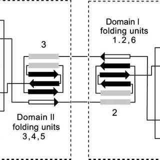 Equilibrium-ordered mechanism of EPSP Synthase (Modified from [85]). | Download Scientific Diagram