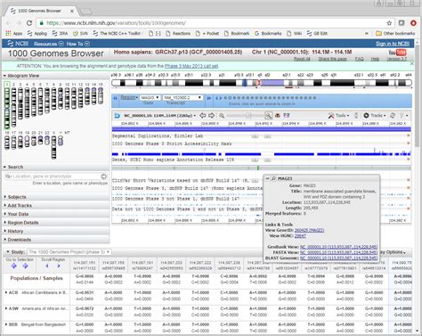 Using the Sequence Viewer Embedding API