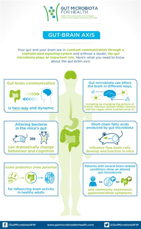 Gut-brain axis - Gut Microbiota for Health