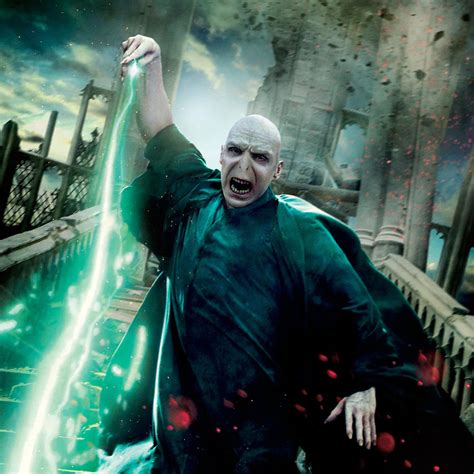 Lord Voldemort | Legends of the Multi Universe Wiki | FANDOM powered by ...