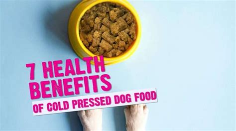 7 Incredible Health Benefits Of Cold Pressed Dog Food