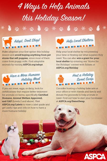 How you can help animals this holiday season - Grouchy Puppy® Blog