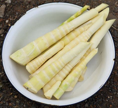 Yellow Bamboo Shoot Food Asia in White Bowl Stock Image - Image of vegan, rootvegetable: 155371221