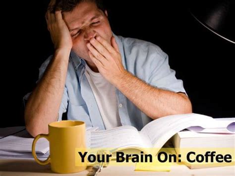 Your Brain On: Coffee - Essay-Professors.com Blog