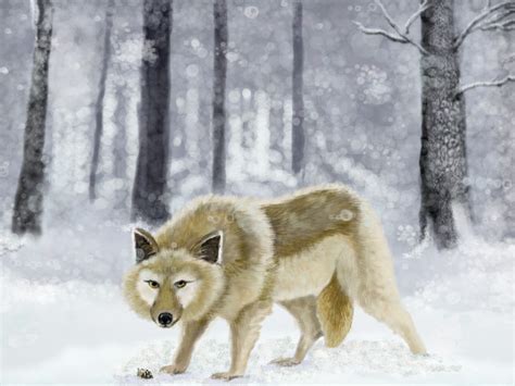 Winter Wolf ← an animals Speedpaint drawing by Kutedymples - Queeky - draw & paint