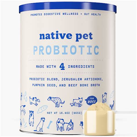 20 Best Probiotics For Dogs With Itchy Skin (Feb 2023 Update) - Pubbelly