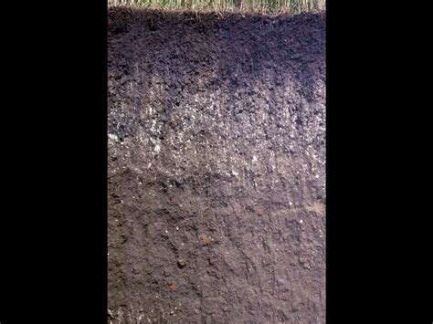 Mollisols | Soil & Water Systems | University of Idaho