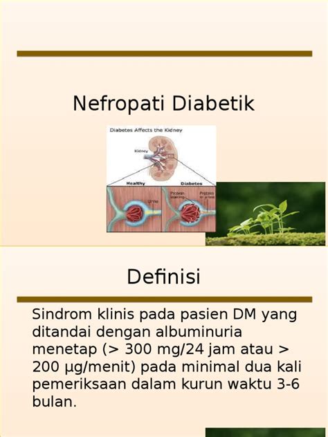 Nefropati Diabetik