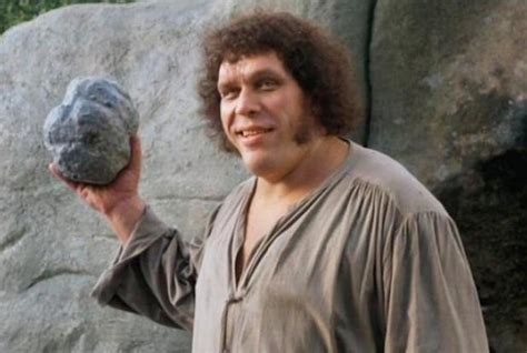 Andre the Giant Biopic in the Works About Pro Wrestler