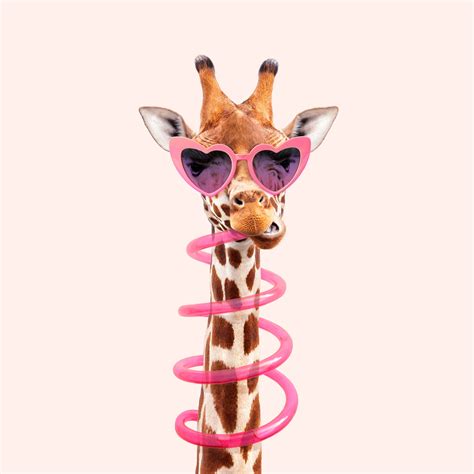 Giraffe Backgrounds & Wallpapers - Unique Thirsty Giraffe Design | Happywall