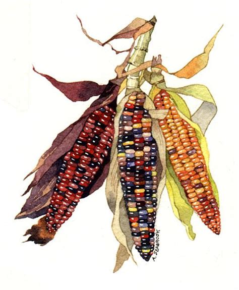 Portfolio in 2021 | Corn painting, Botanical art, Watercolor indian