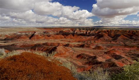 Painted Desert, Arizona | Hiking trip, Desert painting, Natural landmarks