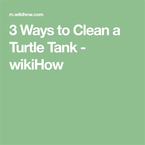 How to Clean a Turtle Tank | Turtle tank, Turtle, Tank