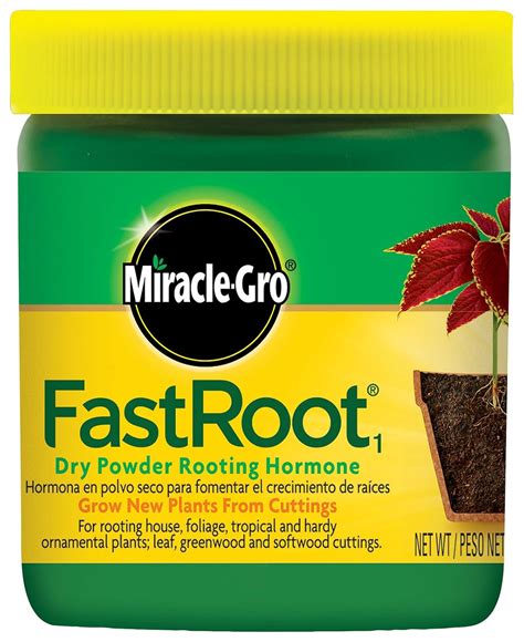 Amazon.com : Miracle-Gro FastRoot Dry Powder Rooting Hormone Jar, 1-1/4 ...