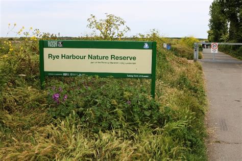 Rye Harbour Nature Reserve: A Gem Not Far from London - Nancy D Brown