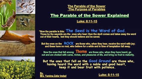 Gospel of Luke Chapter:8:1-56. The Parable of the Sower, Wind and Wave Obey Jesus, - YouTube