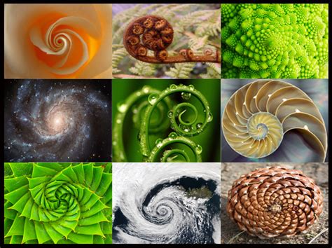 Spirals and Spiraling into Change - Success VectorSuccess Vector