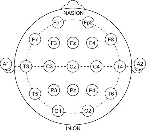 Eeg Electrode Size Chart