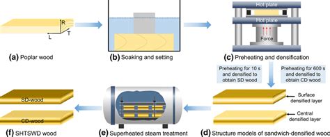 Schematic diagram of the sandwich-densified wood preparation process,... | Download Scientific ...