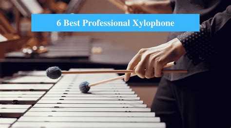 6 Best Professional Xylophone Reviews 2022 - CMUSE