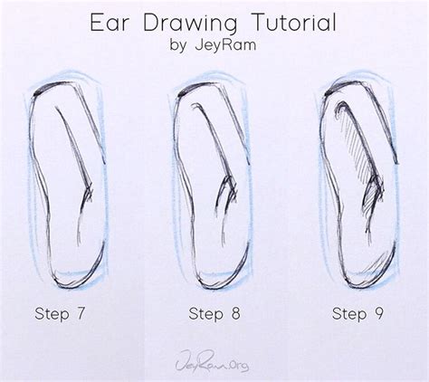 How to Draw the Ear from the front, Step by Step Tutorial for Beginners #howtodraw #art Nose ...