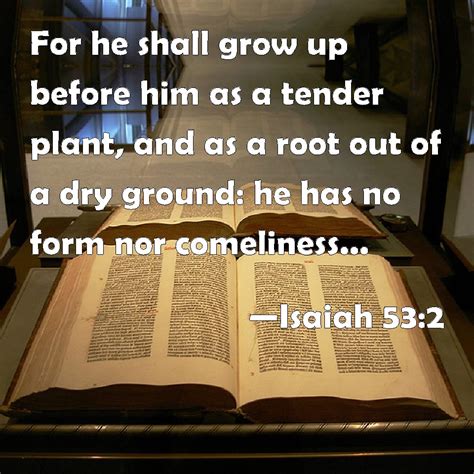 Isaiah 53:2 For he shall grow up before him as a tender plant, and as a ...