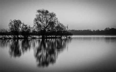 Theale Lake | jameslf | Flickr